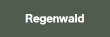 Regenwald
